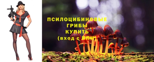 бутират Пестово