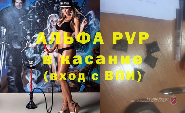 прущий лед Пересвет