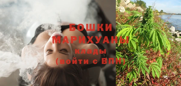 прущий лед Пересвет