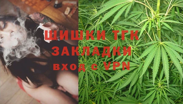 прущий лед Пересвет