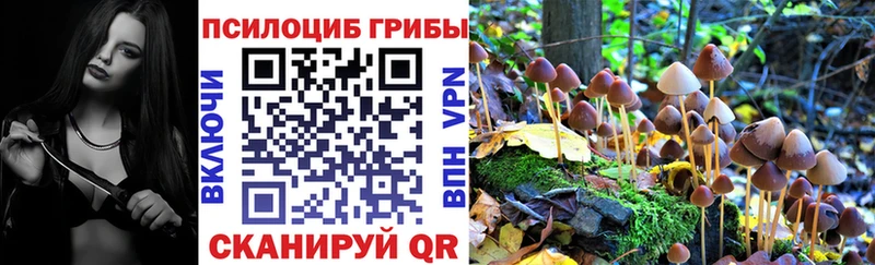 Псилоцибиновые грибы Psilocybine cubensis купить наркоту Анадырь